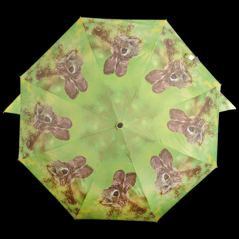 Sateenvarjo, jänis - kokoontaitettava